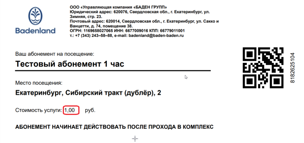 пример_билета_с_ценой_в_2_знака_после_запятой.png