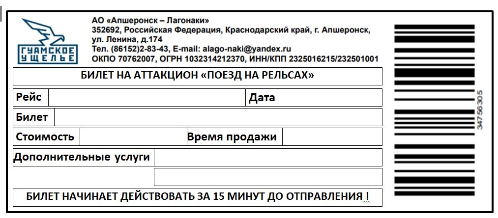 шаблон_билета.jpg
